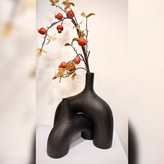 گلدون شی ناز